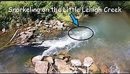 Snorkeling the Little Lehigh Creek