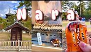 Autumn Trip to NARA | Street Food Hunting - JAPAN Vlog