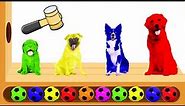 Learn Colors with Colorful Dogs Funny Animals Colors Learning Video for Children