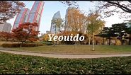Walking Tour | Yeouido Park | Yeouido Hangang Park | Autumn in Seoul, South Korea