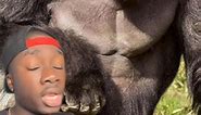 The Harambe kid’s almost a teenager now, feel old yet #gorilla #animals #wholesome #moreyouknow #17 #fypシ゚viral #fypシ゚ #fyp #fyppage #fypシ゚viralシ #usa #australia #uk #canada | Ye Mndia