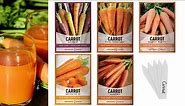 Grow Heirloom Carrots In Your Home Garden With These Seeds