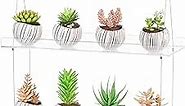 2-Tier Acrylic Hanging Plant Shelves - Height Adjustable Clear Acrylic Shelves for Windows - Perfect for Indoor Gardens, Kitchen Window Displays of Flowers, Succulent Plants, and Seedling Growth