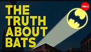 The truth about bats - Amy Wray
