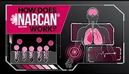 How Does NARCAN Nasal Spray Work?
