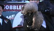 Groundhog Day 2018: Punxsutawney Phil's winter prediction live from Gobbler's Knob | ABC News
