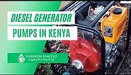 Diesel generator water pumps in Kenya | Irrigation water pumps by Grekkon Limited