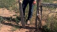 How to operate a wire gate #ranching #ranch #ranchlife #horse #cowhorse #cattle #cattleranch #cowboy #westernlifestyle #longlivecowboys | Joe Frost