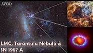 The Large Magellanic Cloud, Tarantula Nebula and Supernova SN 1987 A