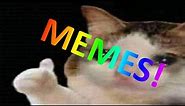 Sad Cat Thumbs Up Meme Compilation