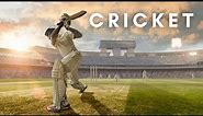 Cricket | Sports | Background Video | No Copyright | Free Stock Footage