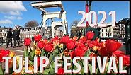 Tulip Festival Amsterdam 2021