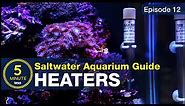You don’t have to learn the hard way... Heaters and Temperature Setup for a Reef Aquarium