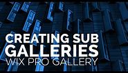 Creating Sub Galleries Within Wix Pro Gallery