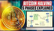 5 Phases of the Bitcoin Halving - Updated Ultimate Guide For 2024