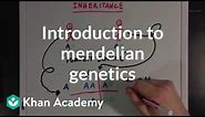 An Introduction to Mendelian Genetics | Biomolecules | MCAT | Khan Academy