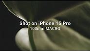 iPhone 15 Pro + SANDMARC Macro Lens | Cinematic 4K ProRes Log
