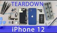 iPhone 12 Teardown