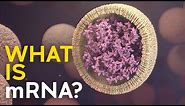 What is mRNA, and how does it work?