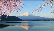 Tokyo - Mt Fuji Day Trip including Lake Ashi Sightseeing Cruise