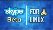 Skype for Linux Beta - Installation and Quick Look