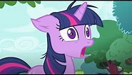 My Little Pony: Friendship is Magic | Best Of Twilight Sparkle | FULL EPISODE | MLP
