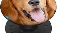 Golden Retriever Dog PopSockets PopGrip: Swappable Grip for Phones & Tablets