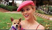Legally Blonde (2001) | Elle Introduces Herself (Scene) | MGM Studios