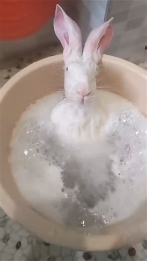 @7daysgon3 on Instagram: "Bubble bath 🧼"