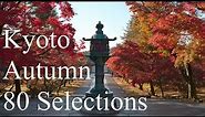 京都の紅葉80選 : The 80 Best Autumn Leaves Spots In Kyoto.