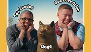 Own The Doge on Instagram: "Meme legends Bad Luck Brian and Tay Zonday come together in 2023 to meet Kabosu, the Doge🐶✨ #doge #dogsofinstagram #dogeday #memes #reels #japan #redditmemes #tokyo #collab #tayzonday #badluckbrian #chocolaterain #dogs #pets"