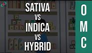 Sativa Vs Indica Vs Hybrid: You've Been Picking Strains All Wrong 🤷‍♂️