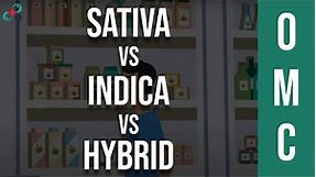 Sativa Vs Indica Vs Hybrid: You've Been Picking Strains All Wrong 🤷‍♂️