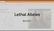 Lethal Alleles | Biology | Chegg Tutors