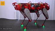Quadruped Dog Robot: CLAW