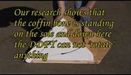 Coffin Bone Rotation explained the natural way.