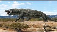 When Giant Lizards Ruled Australia - Megalania