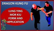 Lung Ying Mor Kiu - Southern Dragon Kung Fu