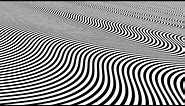 Pyschedelic Black & White Lines