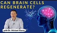 Can Brain Cells Regenerate?