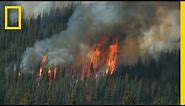 Wildfires 101 | National Geographic