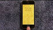 iPhone 5 24kt Gold Edition