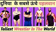 WWE WRESTLERS HEIGHTS COMPARISON || Top 10 tallest wrestlers of all time