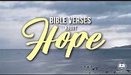 Bible Verses About Hope Hope Scriptures