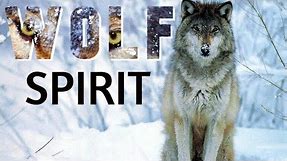 WOLF SPIRIT native american music 🐺 LONE WOLF native american