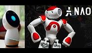 Top 5 Domestic Robots That You Can Keep At Your Home