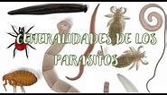 GENERALIDADES DE LOS PARASITOS #microbiology #parasite #microbiologia