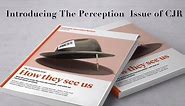 Introducing The Perception Issue