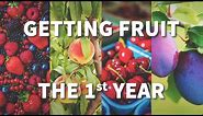 How to Get Fruit the 1st Year - FastGrowingTrees.com