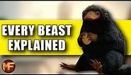 Every Beast We've Seen So Far in Fantastic Beasts 1/2 (45 Creatures Explained)